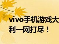 vivo手机游戏大揭秘：攻略、体验与独家福利一网打尽！