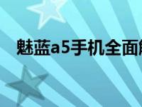 魅蓝a5手机全面解析：性能、设计与价值