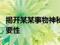 揭开某某事物神秘面纱：深入解析其含义与重要性