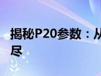 揭秘P20参数：从核心配置到性能优化一网打尽