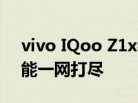 vivo IQoo Z1x参数详解：性能、设计与功能一网打尽