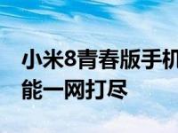 小米8青春版手机参数详解：性能、配置及功能一网打尽