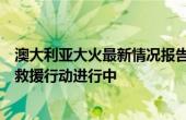 澳大利亚大火最新情况报告：持续燃烧引发全球关注，紧急救援行动进行中