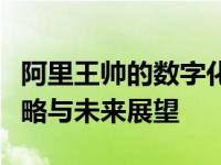 阿里王帅的数字化转型之路：揭秘他的电商战略与未来展望