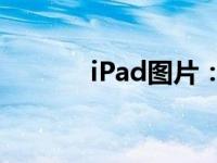 iPad图片：探索高清视觉盛宴