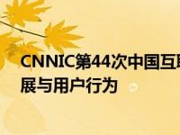 CNNIC第44次中国互联网统计报告揭秘：全面洞察网络发展与用户行为